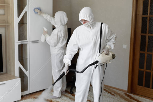24/7 Emergency Odor Removal experts in Nunda, SD